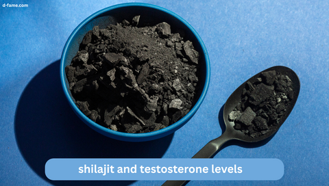 Shilajit and Testosterone Levels: A Simple Guide to Natural Hormone Boost