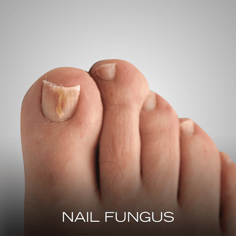 Custom Tab 4 Image 2