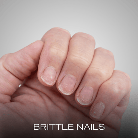 Custom Tab 4 Image 4