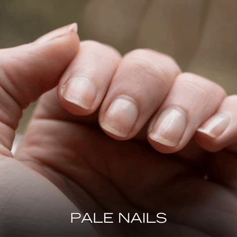 Custom Tab 4 Image 3